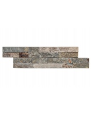 KAMIEŃ NATURALNY SLATE SZARO-ŻÓŁTY 10X35