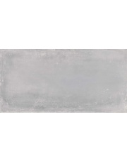 GRES SZKLIWIONY  INDUSTRIAL SILVER 60X120