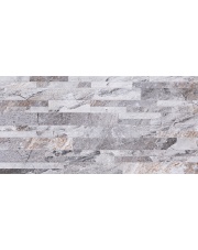 GRES SLATE SILVER MIX 30X60 